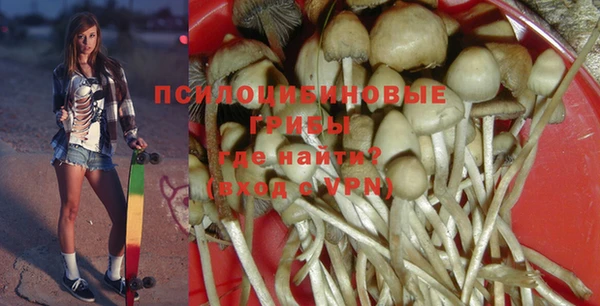 PSILOCYBIN Балахна